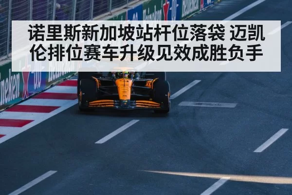 诺里斯新加坡站杆位落袋 迈凯伦排位赛车升级见效成胜负手
